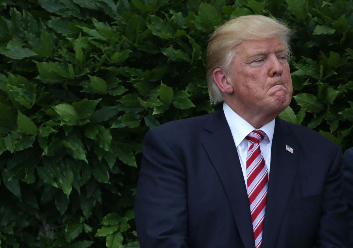 President Donald Trump, pictured here in Washington, D.C., in June of 2017.